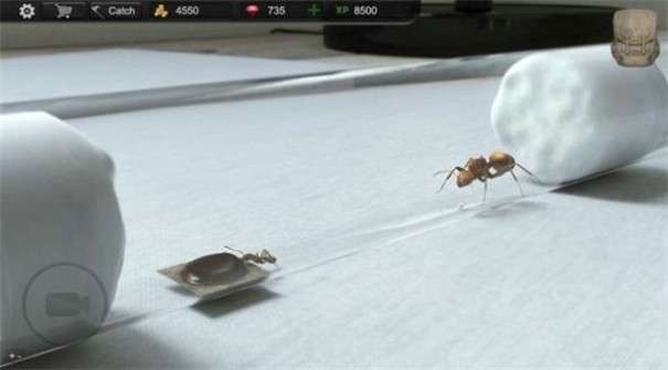 蚂蚁模拟大亨2023最新版图3