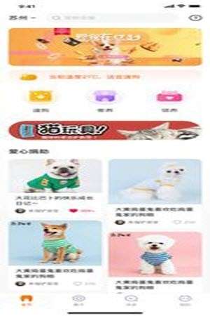 财猫双犬图1