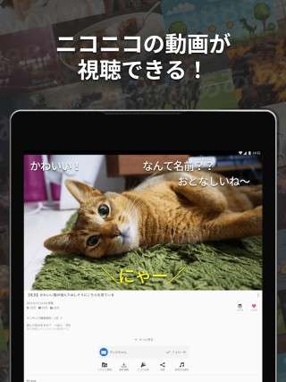 Niconico动画图1