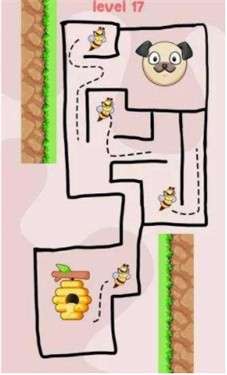 宠物狗救援图3