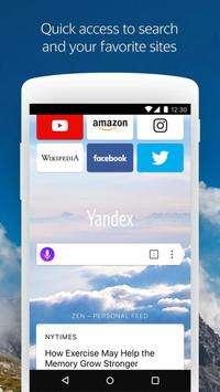 Yandex浏览器图3
