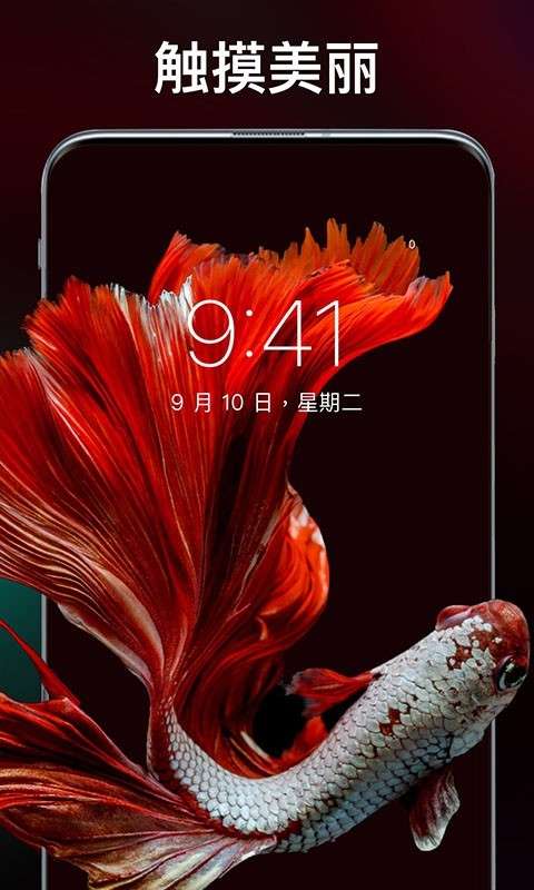 灵猫壁纸大全免费版图3