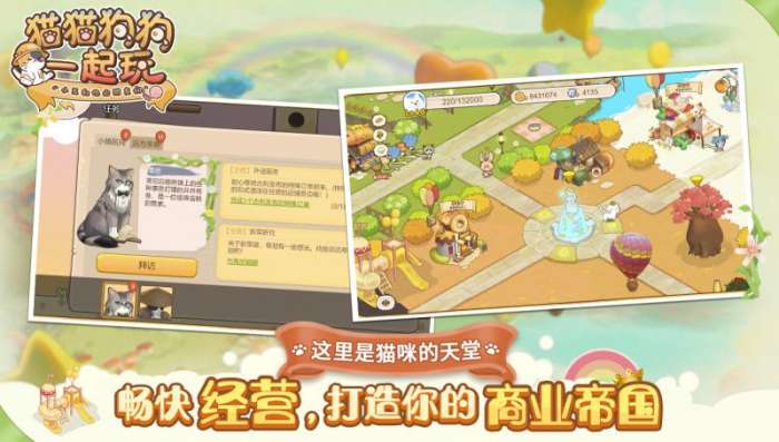 猫猫狗狗一起玩图2