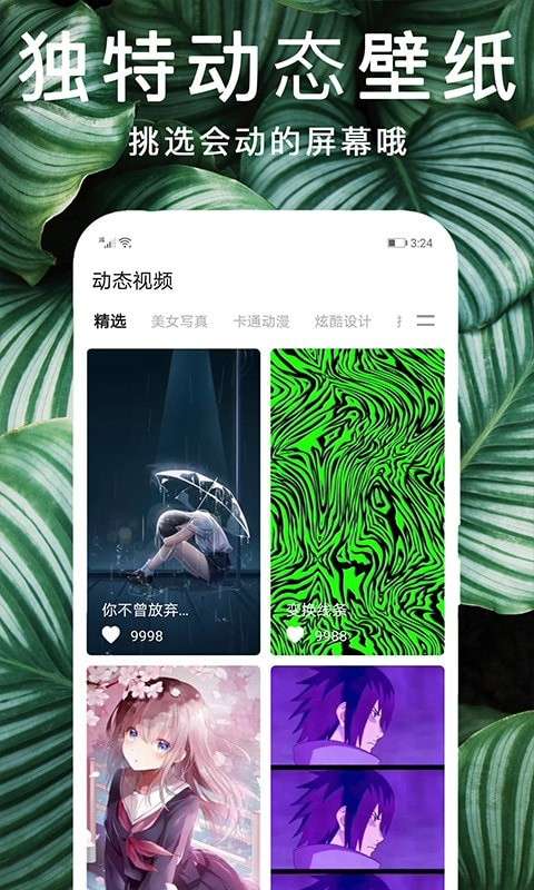 灵猫桌面壁纸图1