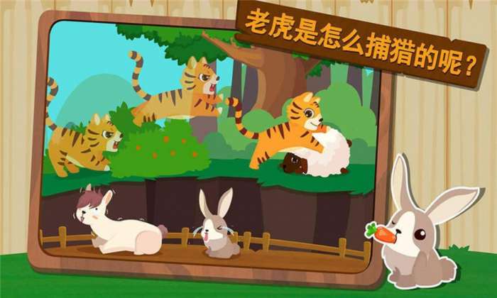 森林动物图3