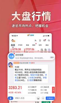 大智慧图1