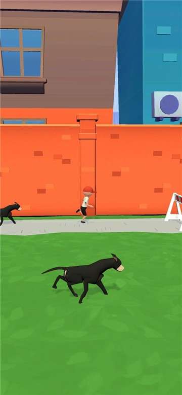 疯狂狗狗图4