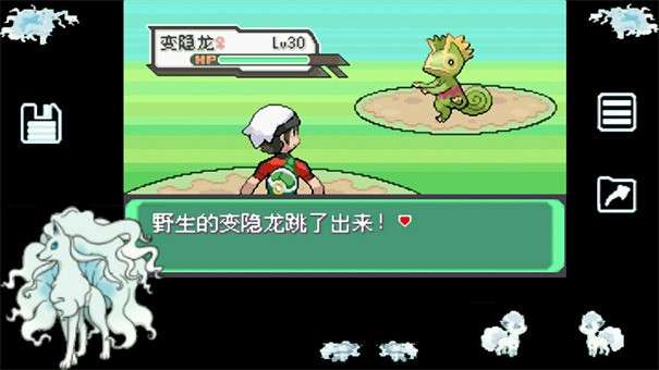 究极绿宝石4小智版图1