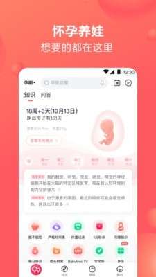 宝宝树孕育图4