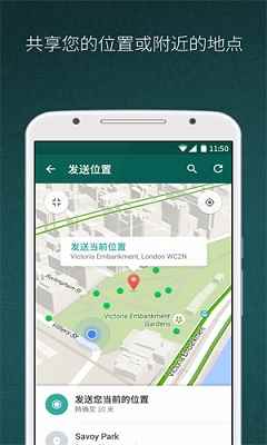 Whatsapp安卓下载中文版图1