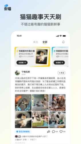 哈啰街猫最新版图4