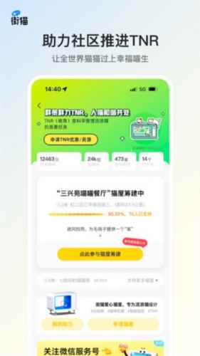 哈啰街猫最新版图1
