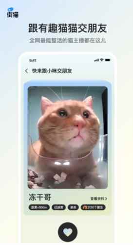 哈啰街猫最新版图3