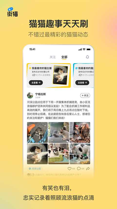 哈啰街猫app图2