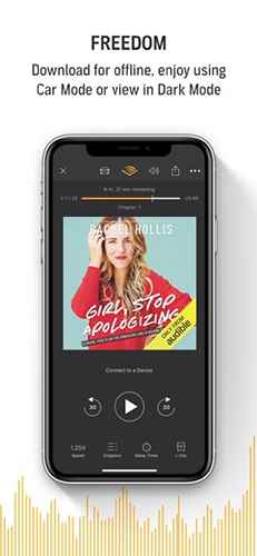 Audible图2