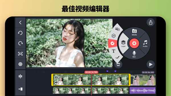 巧影2025年最新版图3