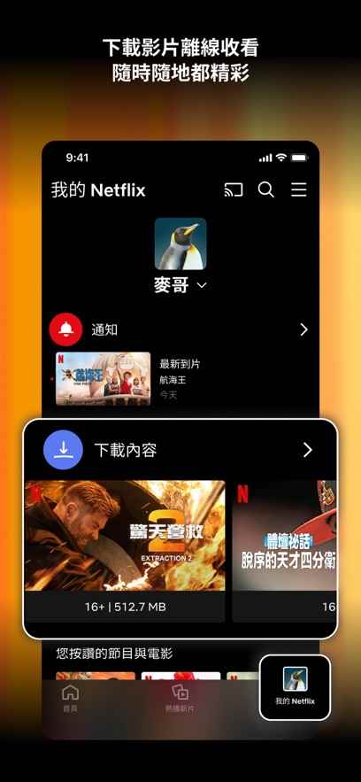 Netflix安卓最新版图1