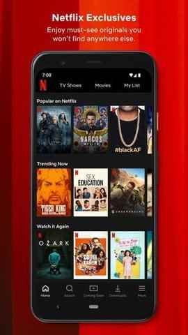 Netflix官网中文版图3