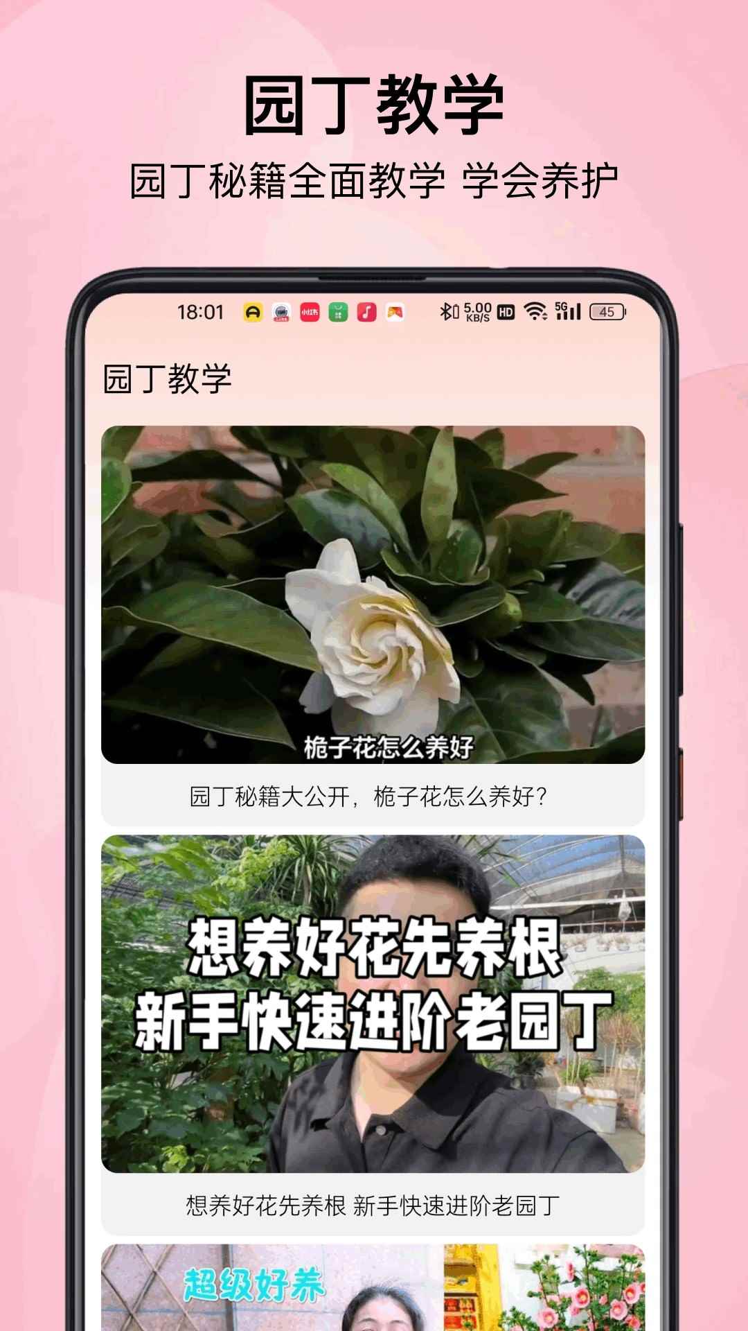 小园丁追剧极速版图2