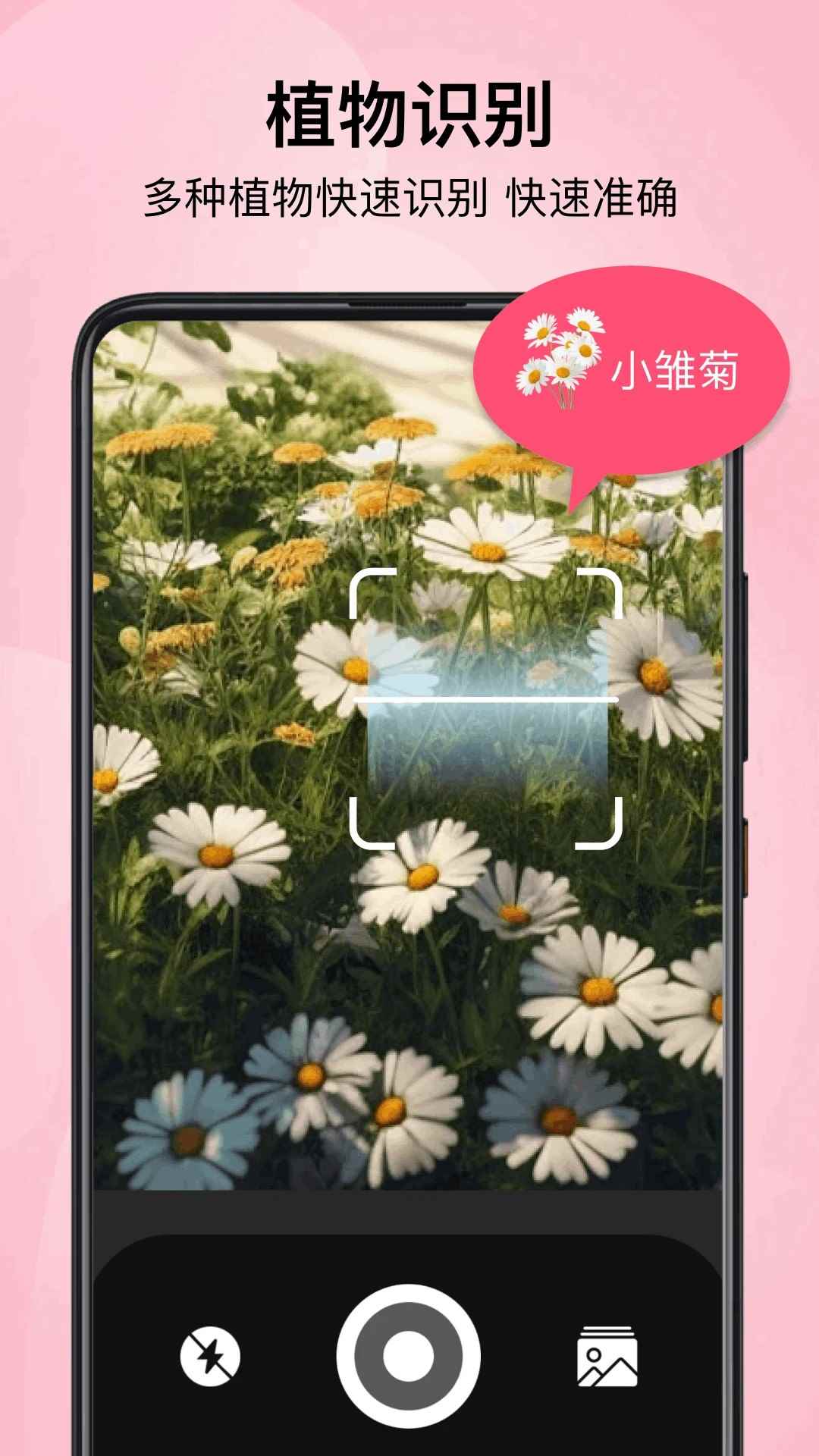 小园丁追剧极速版图3