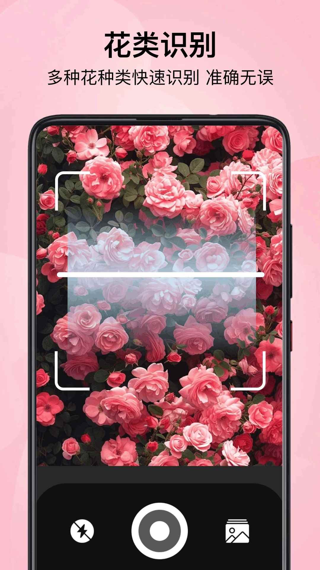 小园丁追剧极速版图1