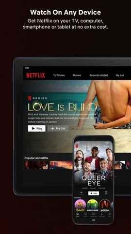 Netflix免费观影入口图3