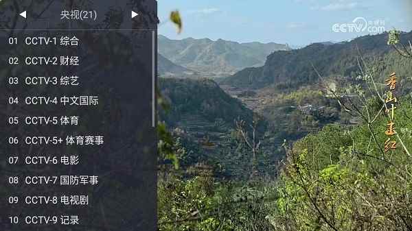 webview电视app官方下载最新版本图5