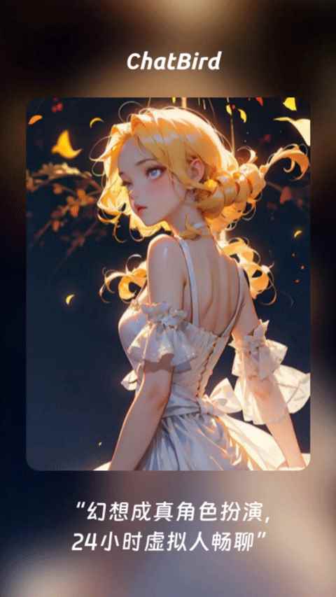 ChatBird图3
