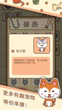 宠物养成记图2