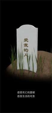 我的墓碑图1