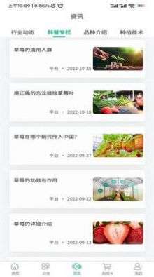泉水(草)莓图2