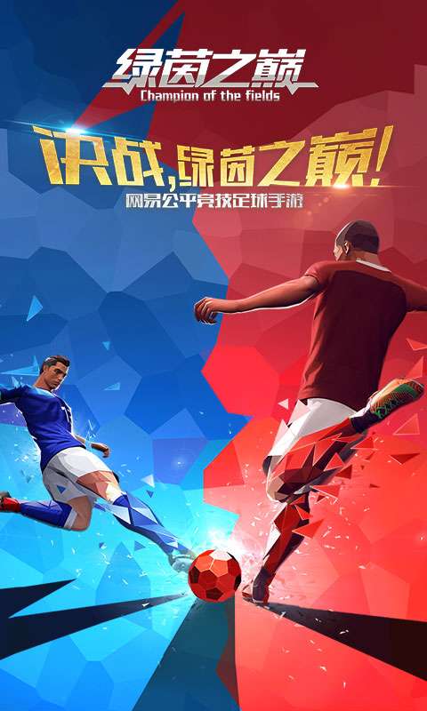 绿茵之巅图1