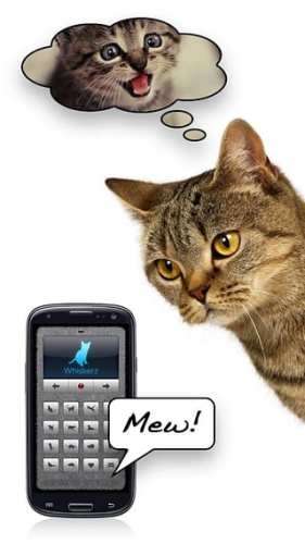 人猫交流器图1