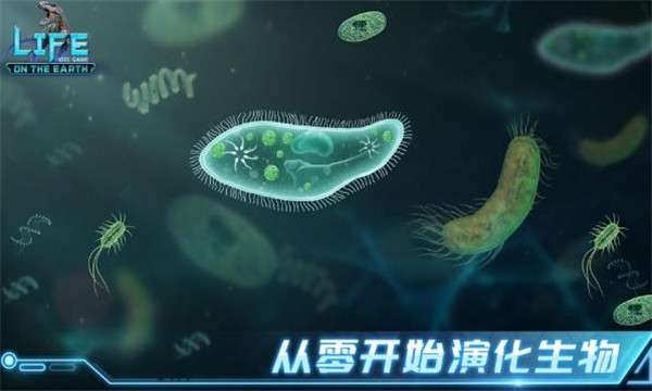 生命简史图1
