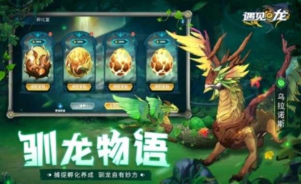 遇见龙果盘版图3