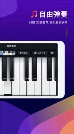 钢琴弹奏大师图2