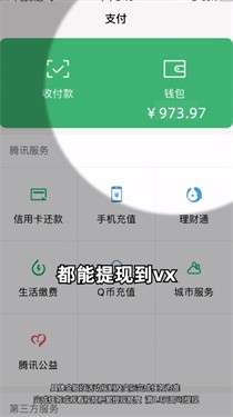 小院乐逍遥图1