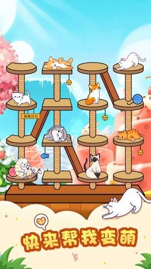猫屋日记图2