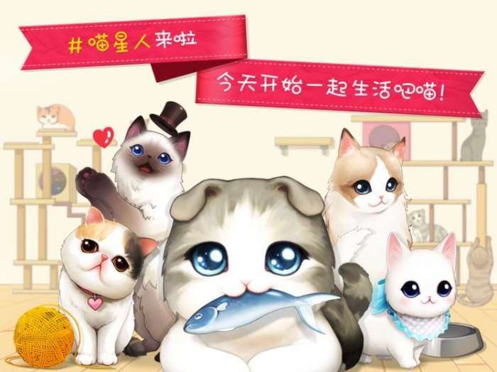 猫猫咖啡屋图1