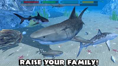 鲨鱼模拟器图3