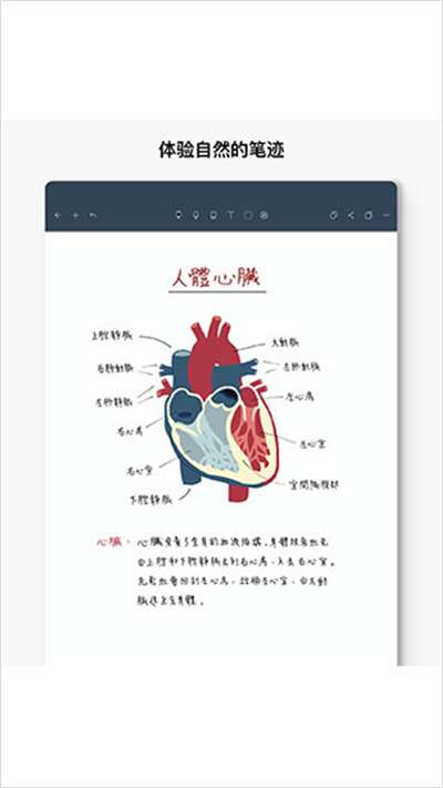 noteshelf官网图2