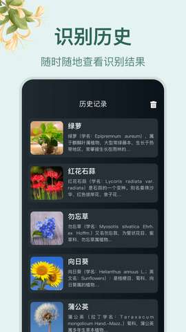 小园丁图1
