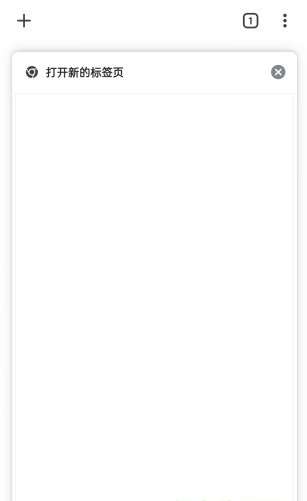 谷歌浏览器google浏览图6