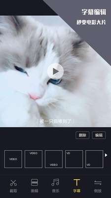 vlog视频剪辑最新版图3