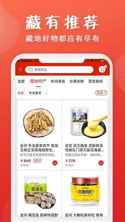 藏有引力图2