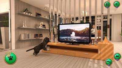 非常宠物猫模拟器图3