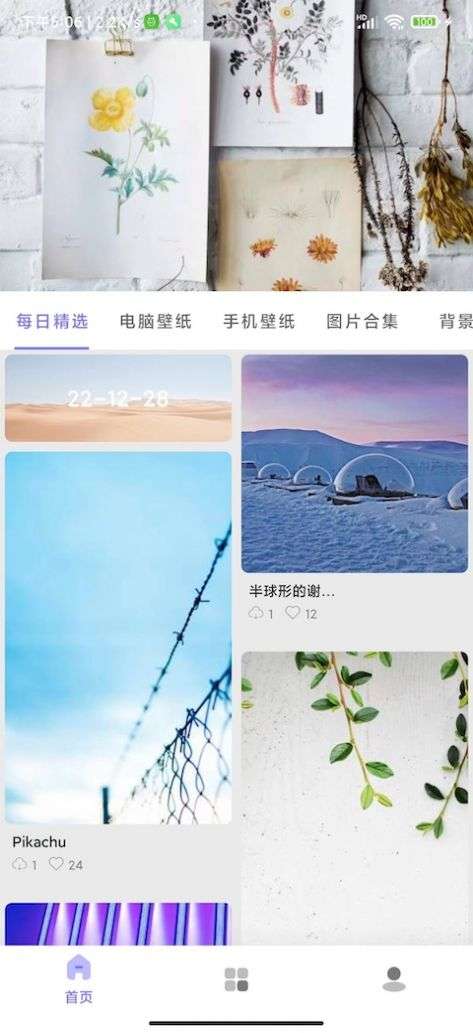 派派壁纸图2