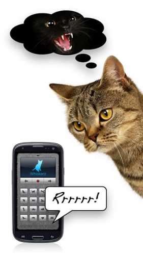 人猫交流器图4
