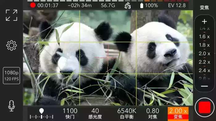 promovie专业相机图2