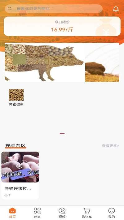 养猪1+1图4